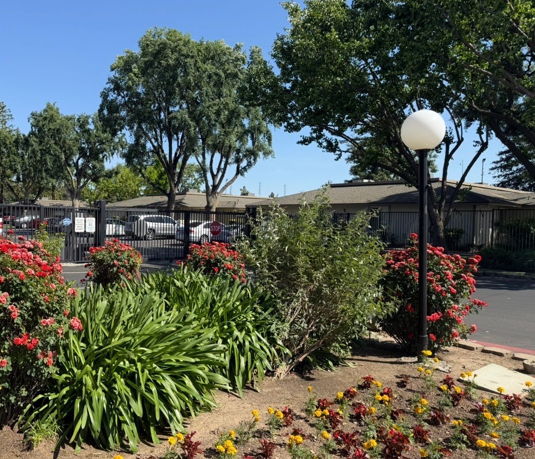 Landscaped garden entrance with red flowering shrubs, green plants, mature trees, street lamp, and residential fence under blue sky